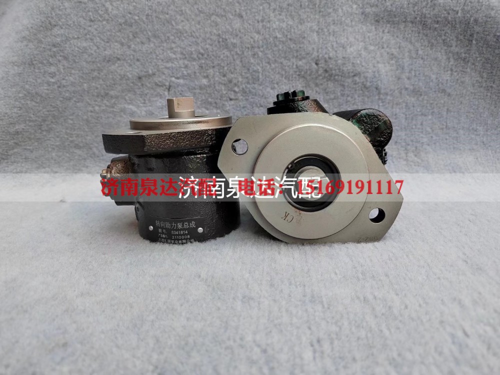 5341814,转向助力泵,济南泉达汽配有限公司