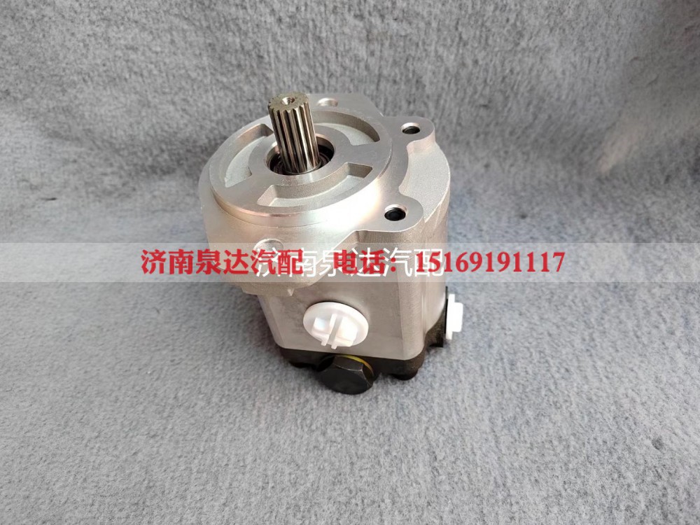 QC20/14-226B,转向助力泵,济南泉达汽配有限公司