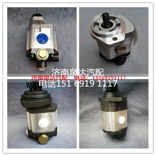 QC25/15-LT70,轉(zhuǎn)向助力泵,濟(jì)南泉達(dá)汽配有限公司