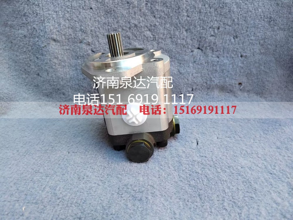 10100122,齿轮泵,济南泉达汽配有限公司