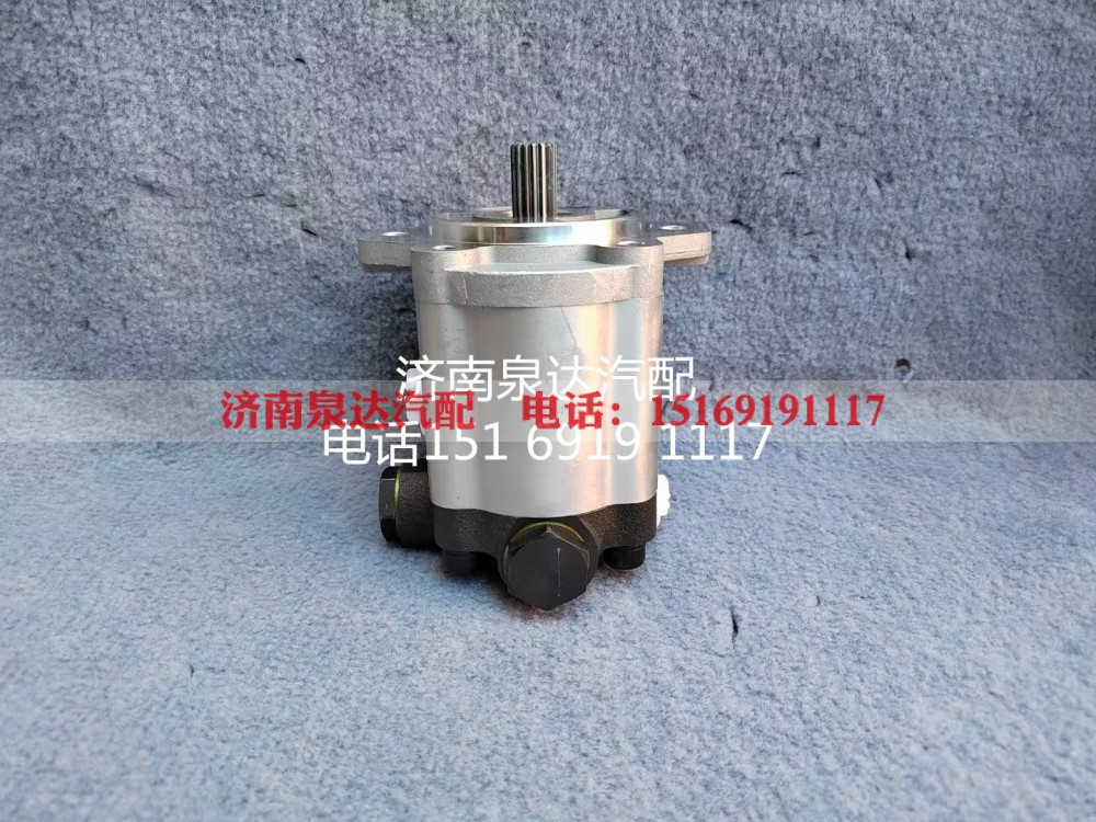 XZZX-B301,齿轮泵,济南泉达汽配有限公司