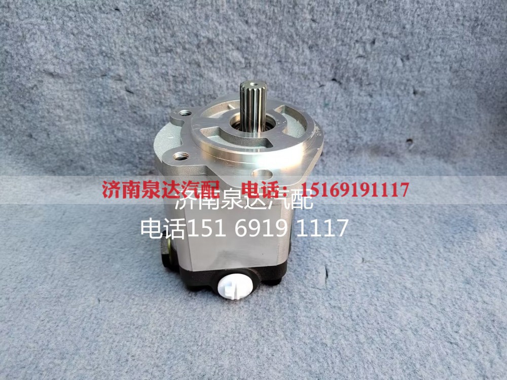 QC18/13-D14XZ,齿轮泵,济南泉达汽配有限公司