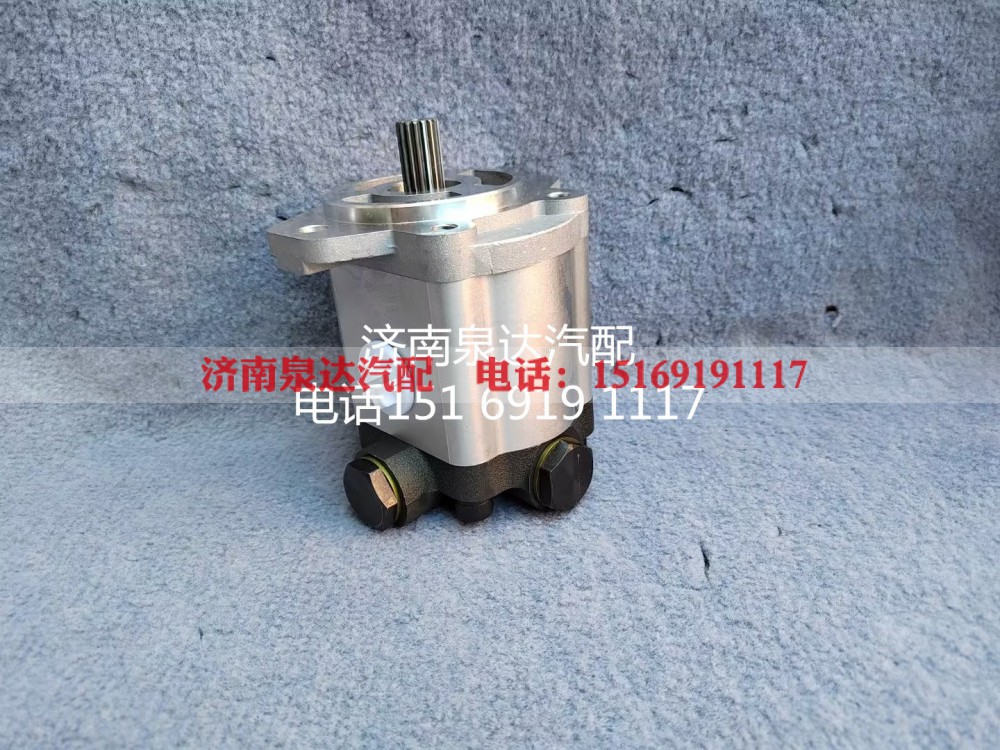 QC18/13-D14XZ,齿轮泵,济南泉达汽配有限公司