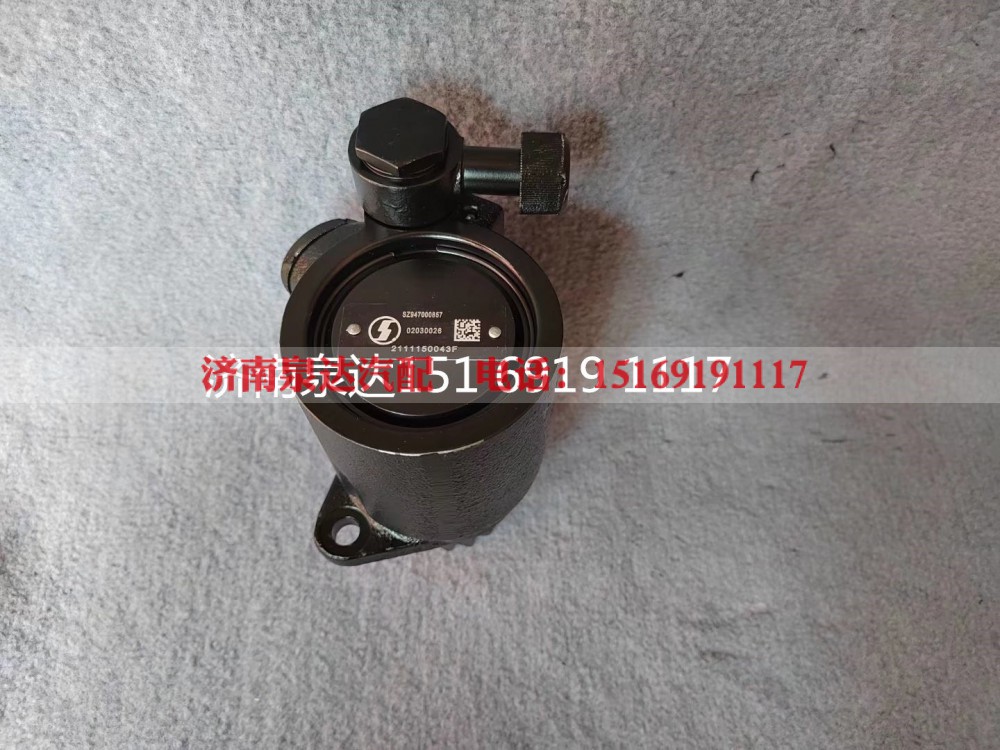 SZ947000857,转向助力泵,济南泉达汽配有限公司