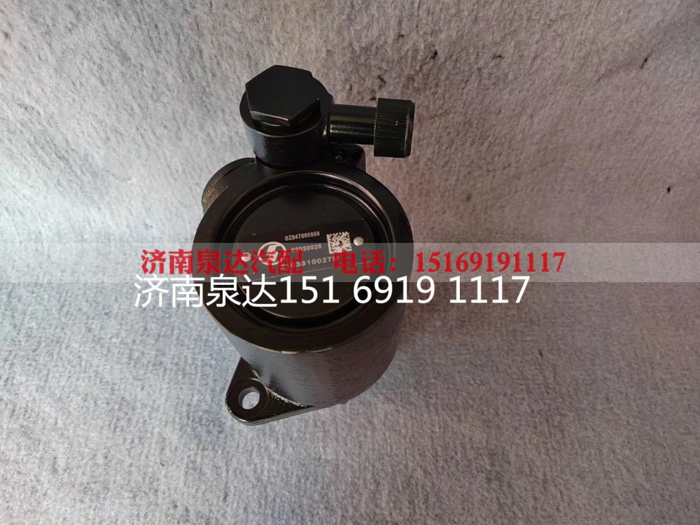 SZ947000858,转向助力泵,济南泉达汽配有限公司