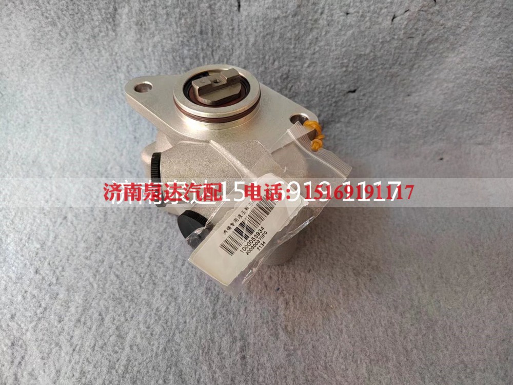 1000053934,转向助力泵,济南泉达汽配有限公司