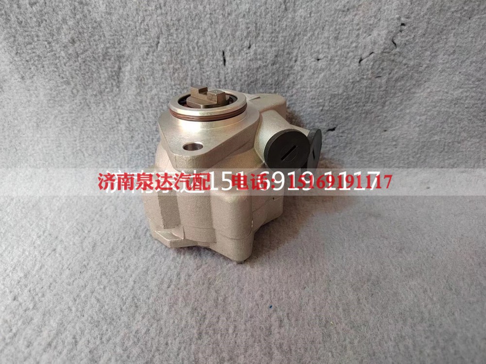 1000053934,转向助力泵,济南泉达汽配有限公司