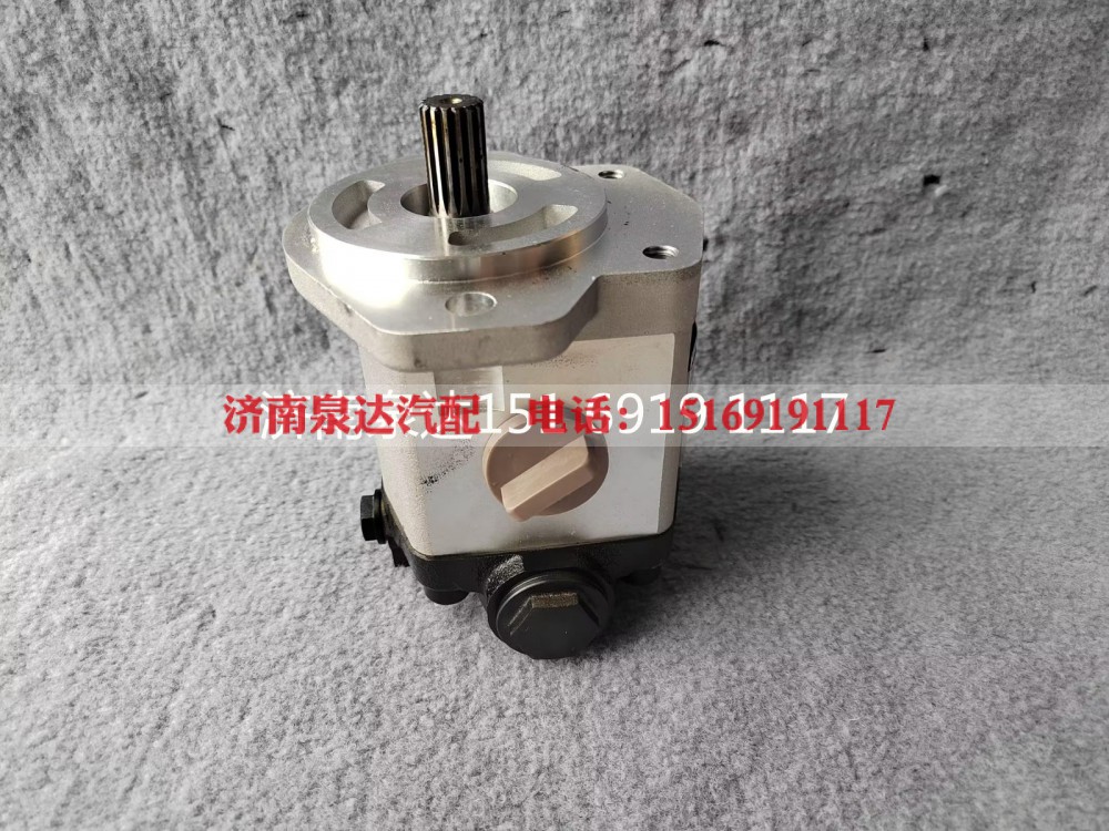 QC18/13-D14XZ,转向助力泵,济南泉达汽配有限公司