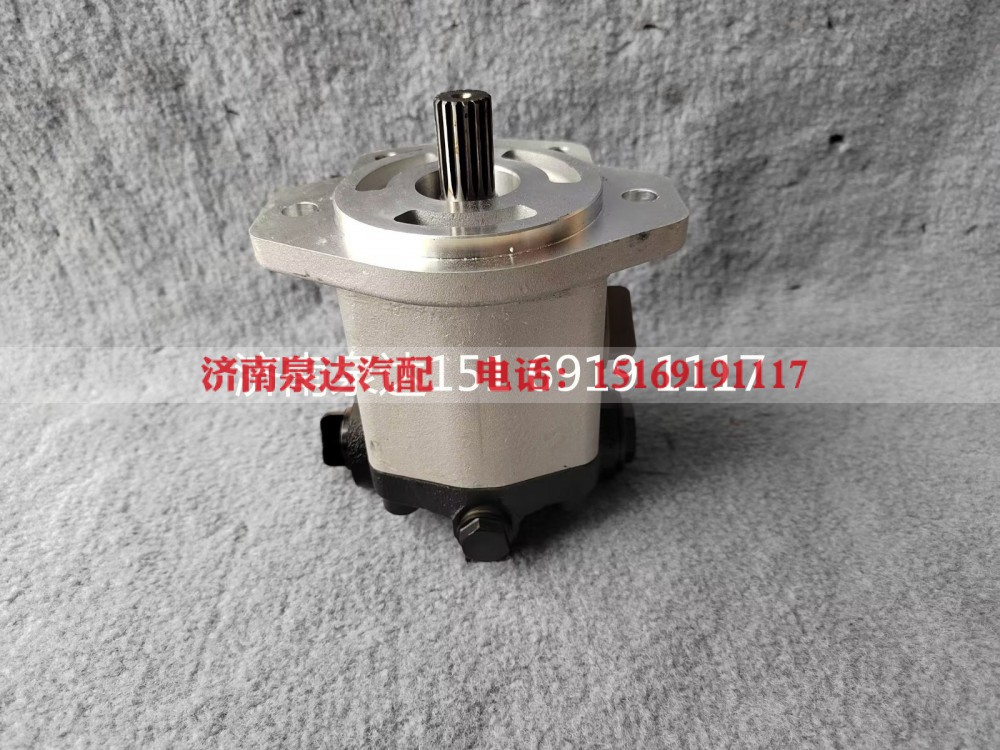 803000065,转向助力泵,济南泉达汽配有限公司