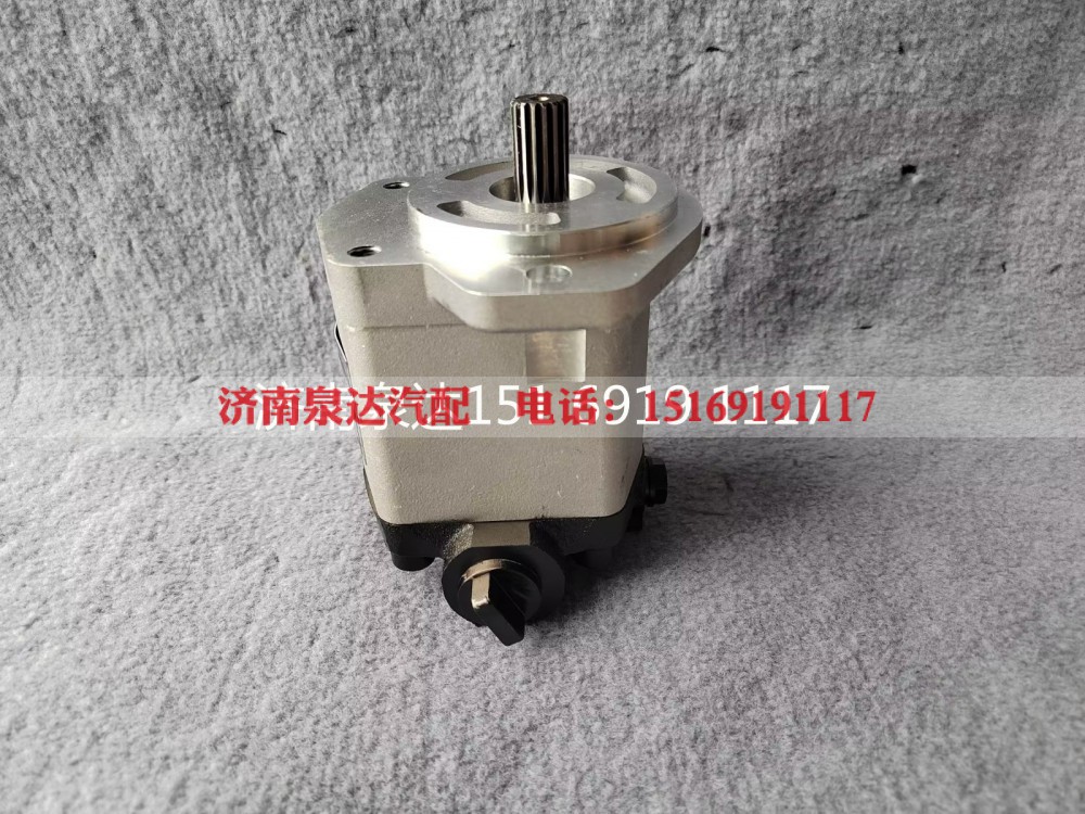 803000065,转向助力泵,济南泉达汽配有限公司