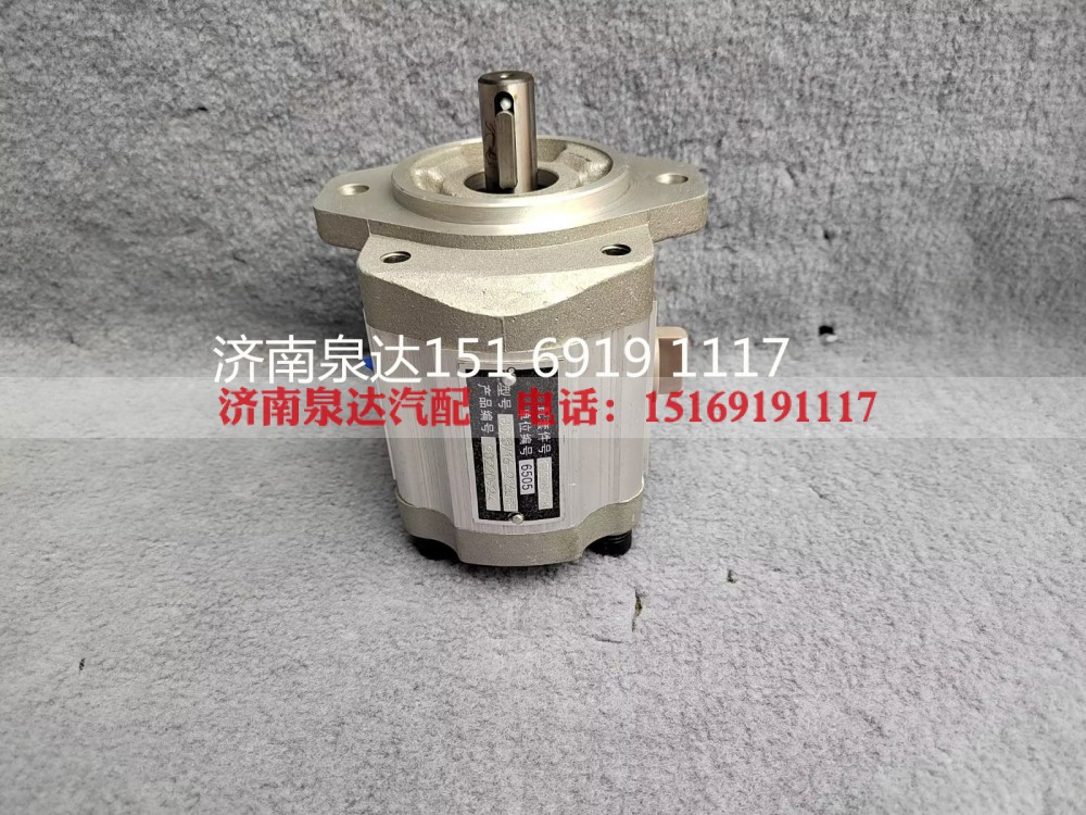 QC25/16-226BRF,转向助力泵,济南泉达汽配有限公司