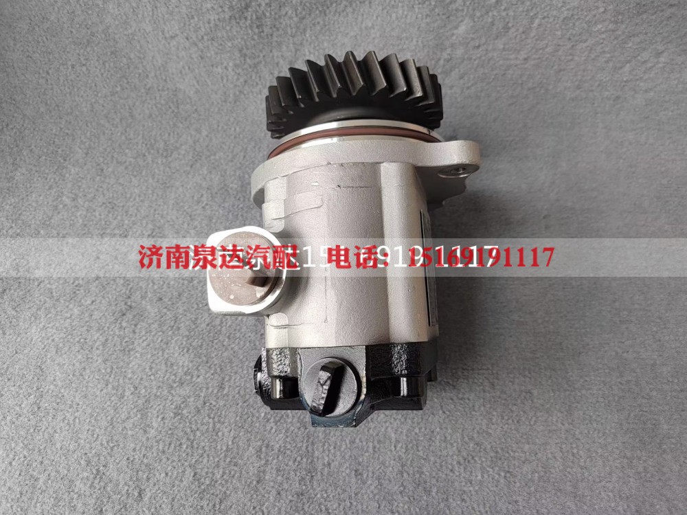 QC25/19-WP12N1-SD,转向助力泵,济南泉达汽配有限公司