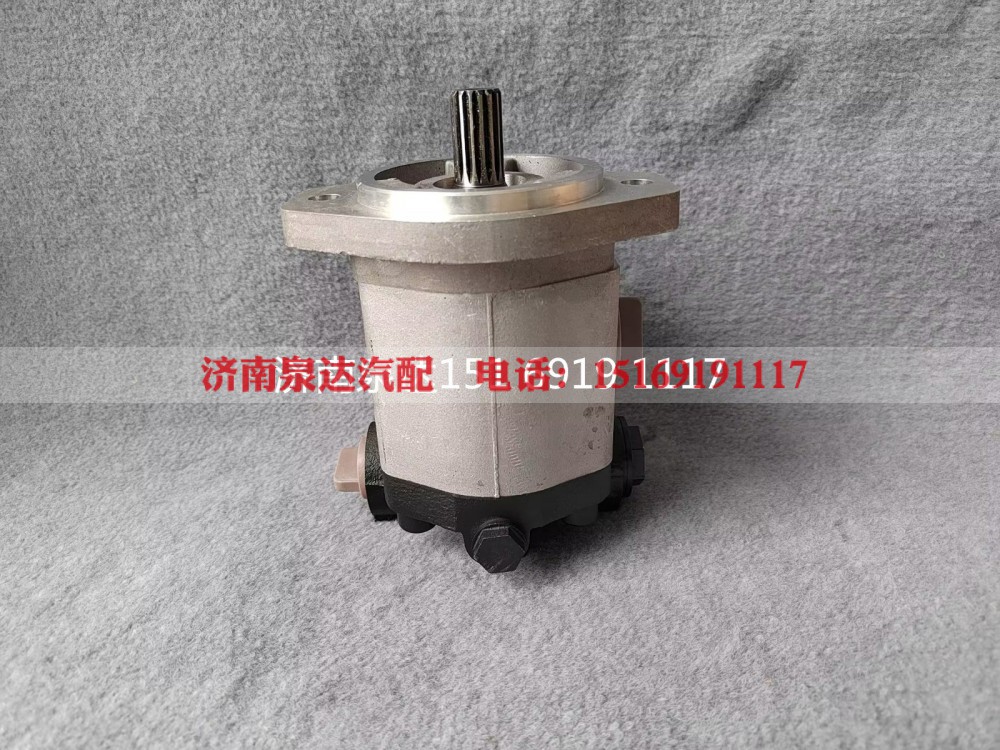 QC18/15-WP6,转向助力泵,济南泉达汽配有限公司