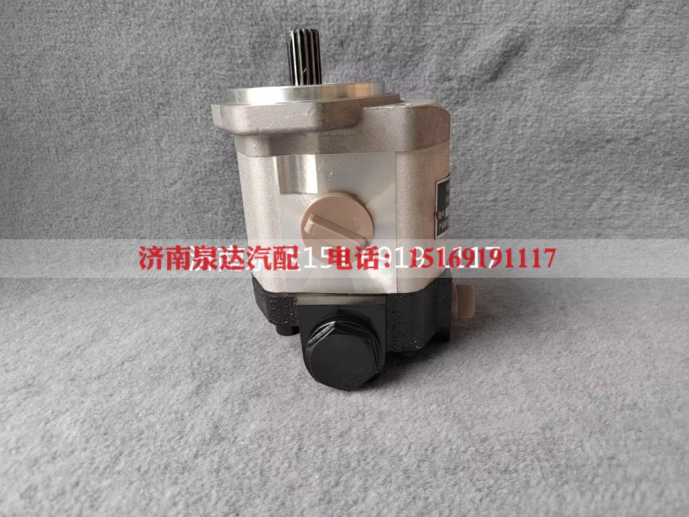 QC20/14-226B,转向助力泵,济南泉达汽配有限公司