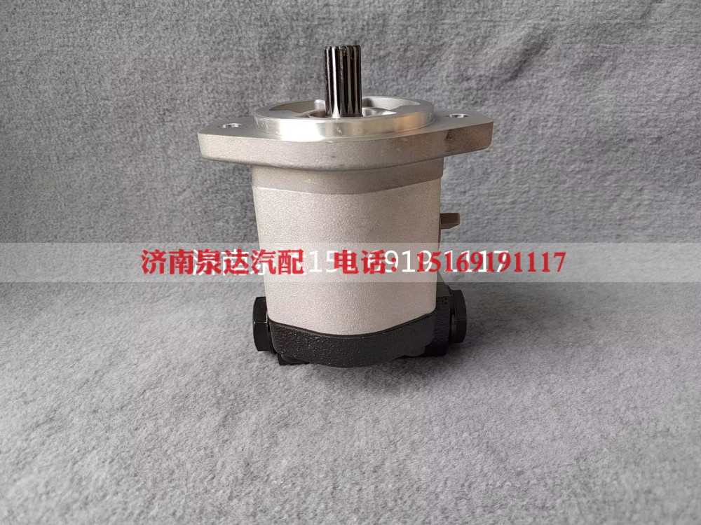 QC20/14-226B,转向助力泵,济南泉达汽配有限公司