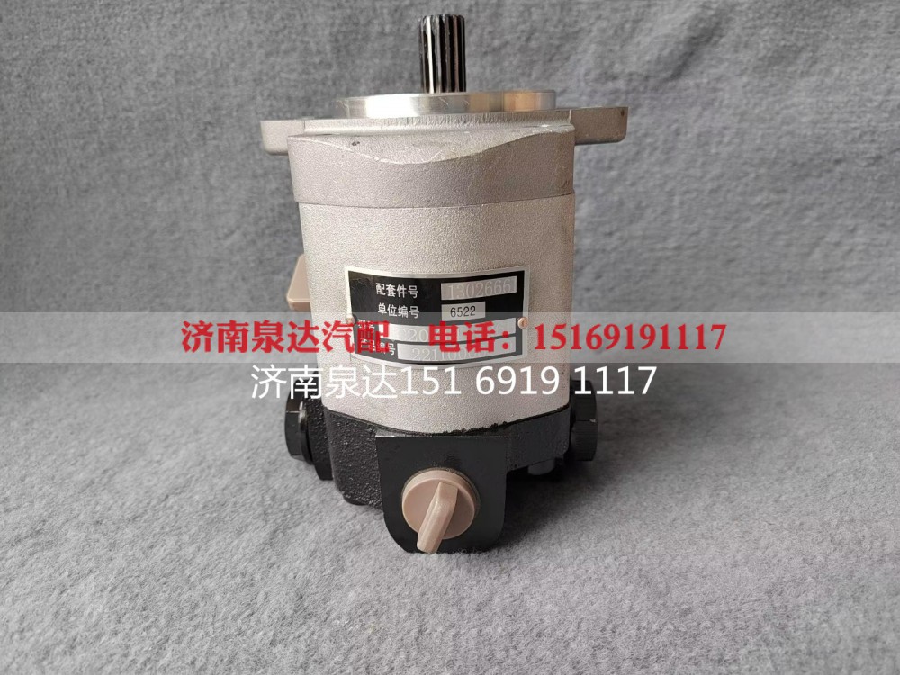 QC20/14-226B,转向助力泵,济南泉达汽配有限公司