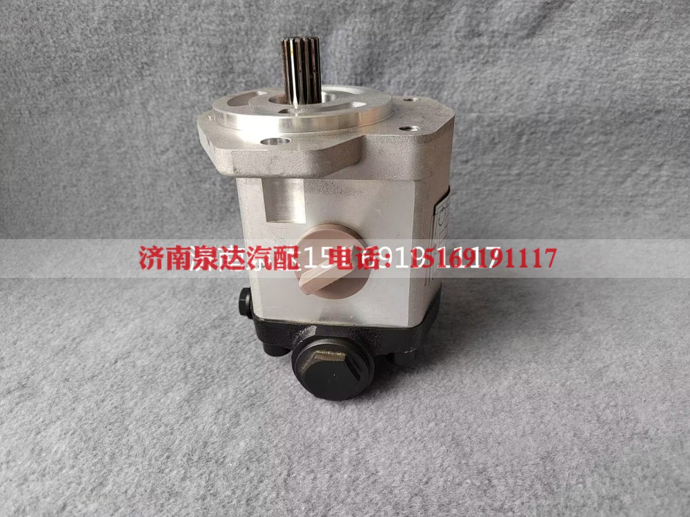 QC18/13-D14XZ,转向助力泵,济南泉达汽配有限公司