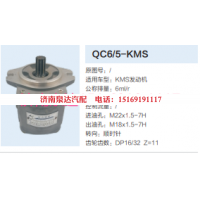 QC6/15-KMS,轉向助力泵,濟南泉達汽配有限公司