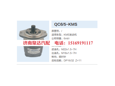 QC6/15-KMS,轉向助力泵,濟南泉達汽配有限公司
