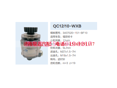 QC12/10-WXB,動力轉(zhuǎn)向齒輪泵,濟(jì)南泉達(dá)汽配有限公司