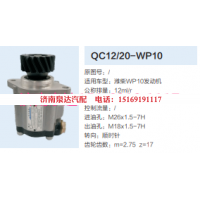 QC12/20-WP10,動(dòng)力轉(zhuǎn)向齒輪泵,濟(jì)南泉達(dá)汽配有限公司