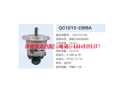 1003187335,動力轉(zhuǎn)向齒輪泵,濟南泉達汽配有限公司