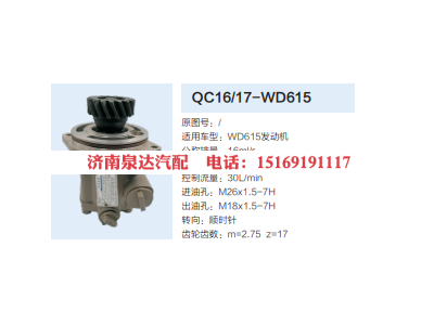 QC16/17-WD615,動(dòng)力轉(zhuǎn)向齒輪泵,濟(jì)南泉達(dá)汽配有限公司