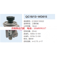 QC18/13-WD615,動力轉(zhuǎn)向齒輪泵,濟南泉達汽配有限公司