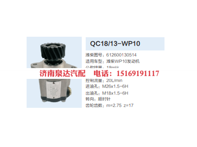 QC18/13-WP10,動(dòng)力轉(zhuǎn)向齒輪泵,濟(jì)南泉達(dá)汽配有限公司
