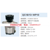 QC18/13-WP10,動(dòng)力轉(zhuǎn)向齒輪泵,濟(jì)南泉達(dá)汽配有限公司