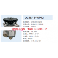 QC18/13-WP12,動(dòng)力轉(zhuǎn)向齒輪泵,濟(jì)南泉達(dá)汽配有限公司