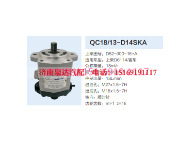 QC18/13-D14SKA,动力转向齿轮泵,济南泉达汽配有限公司
