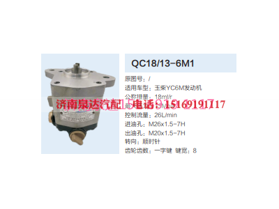 QC18/13-6M1,动力转向齿轮泵,济南泉达汽配有限公司