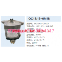QC18/13-6M1N,动力转向齿轮泵,济南泉达汽配有限公司