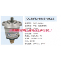 QC18/13-KMS-AKLB,动力转向齿轮泵,济南泉达汽配有限公司