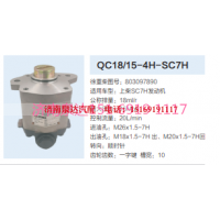 803097890,动力转向齿轮泵,济南泉达汽配有限公司