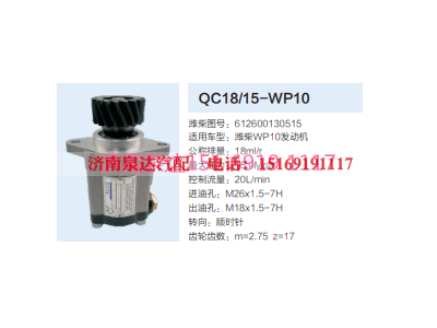 QC18/15-WP10,动力转向齿轮泵,济南泉达汽配有限公司