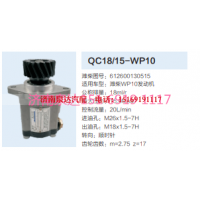 612600130515,动力转向齿轮泵,济南泉达汽配有限公司