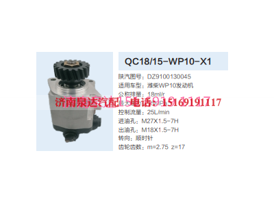 WC18/15-WP10-X1,动力转向齿轮泵,济南泉达汽配有限公司