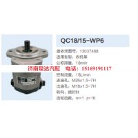 13037488,动力转向齿轮泵,济南泉达汽配有限公司