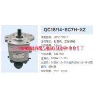 QC18/14-SC7H-XZ,動(dòng)力轉(zhuǎn)向齒輪泵,濟(jì)南泉達(dá)汽配有限公司