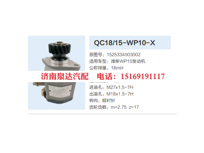 QC18/15-WP10-X,动力转向齿轮泵,济南泉达汽配有限公司