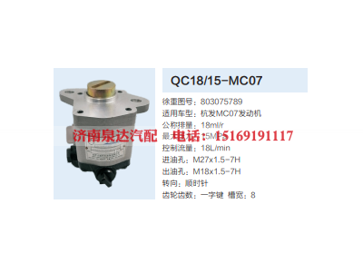 803075789,动力转向齿轮泵,济南泉达汽配有限公司