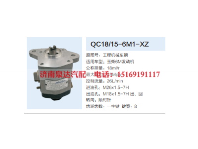 QC18/15-6M1-XZ,动力转向齿轮泵,济南泉达汽配有限公司