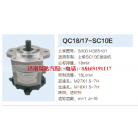 QC18/17-SC10E,动力转向齿轮泵,济南泉达汽配有限公司
