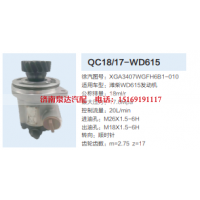 QC18/17-WD615,动力转向齿轮泵,济南泉达汽配有限公司