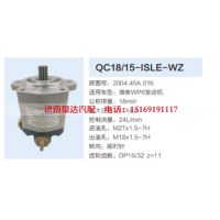 QC18/15-ISLE-WZ,动力转向齿轮泵,济南泉达汽配有限公司