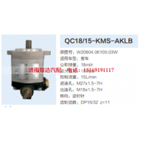 QC18/15-KMS-AKLB,动力转向齿轮泵,济南泉达汽配有限公司