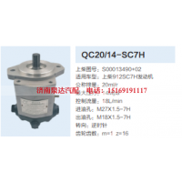 S00013490+02,动力转向齿轮泵,济南泉达汽配有限公司
