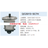 QC20/13-SC7H,动力转向齿轮泵,济南泉达汽配有限公司